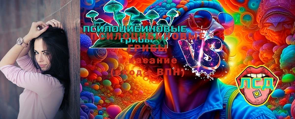 не бодяженный Алексин